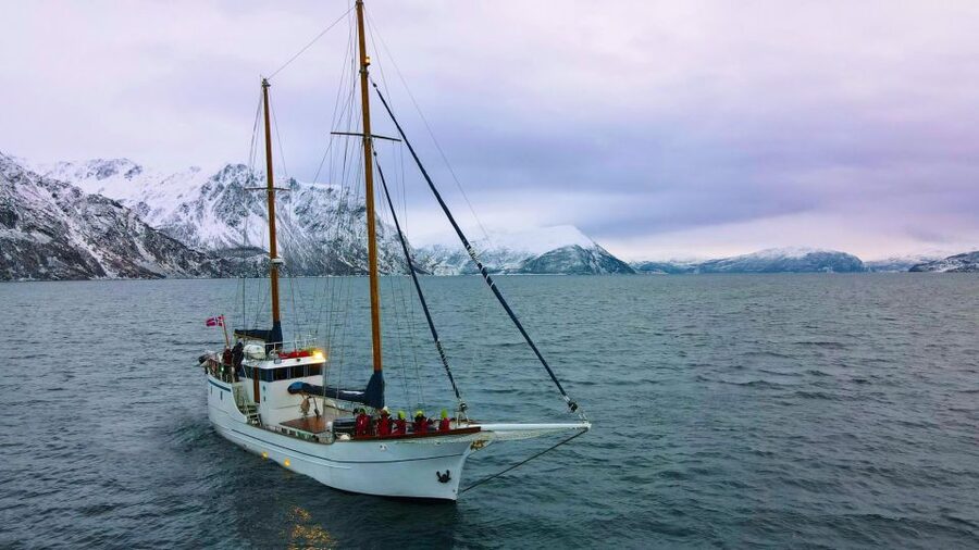 Tromsø: Luxury Polar Fjord Cruise w/ Hot Tub & Polar Plunge - What the four and a half hours feel like