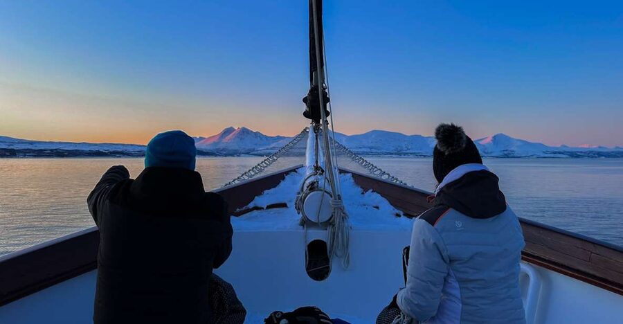 Tromsø: Luxury Polar Fjord Cruise w/ Hot Tub & Polar Plunge - A flexible route through Balsfjorden