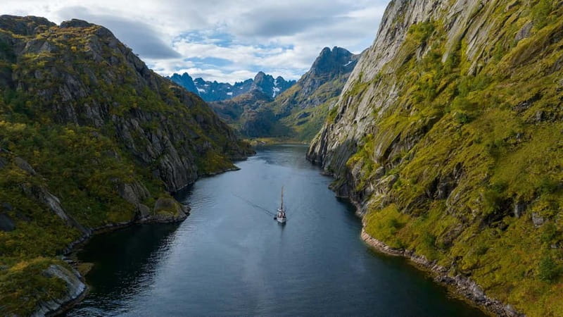 Tromsø: Luxury Summer Fjord Cruise with Lunch & Hot Tub - Wildlife watching with binoculars