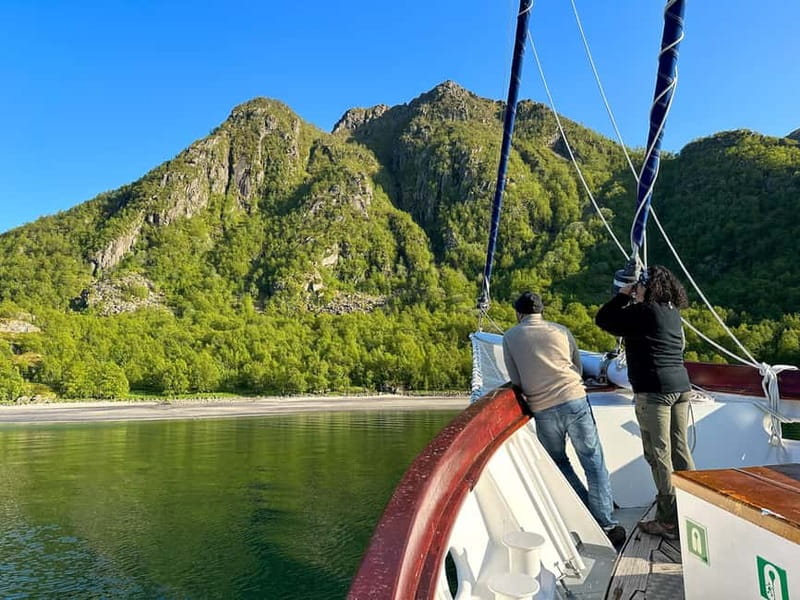 Tromsø: Midnight Sun Evening Cruise with Hot Tub - Watching for eagles, sea birds, and dolphins