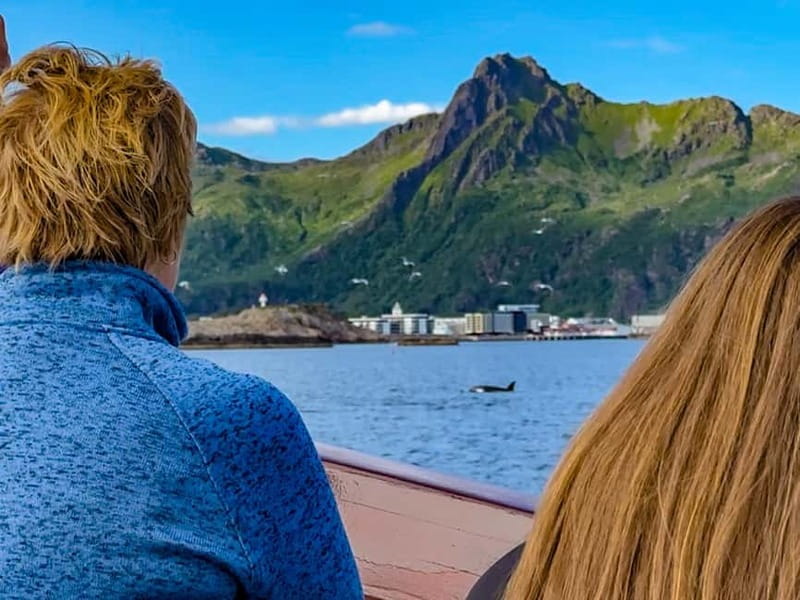Tromsø: Midnight Sun Evening Cruise with Hot Tub - Blankets, hot drinks, and the uncertain food detail