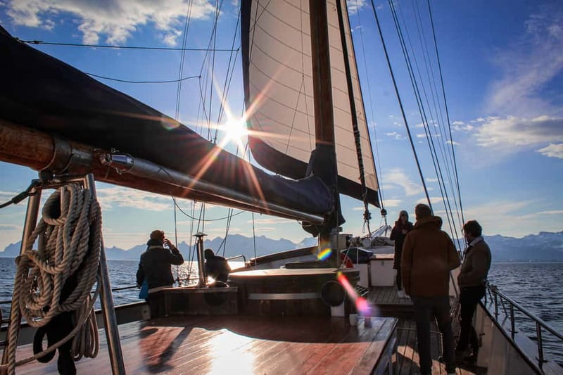 Tromsø: Midnight Sun Evening Cruise with Hot Tub - What the service is like on a small yacht