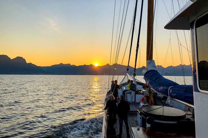Tromsø Midnight Sun Evening Cruise with Hot Tub and Polar Plunge - Key points to know before sailing