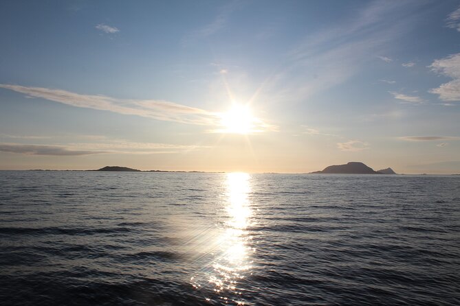 Tromsø Midnight Sun Evening Cruise with Hot Tub and Polar Plunge - Fish soup, coffee, and a warm break on board