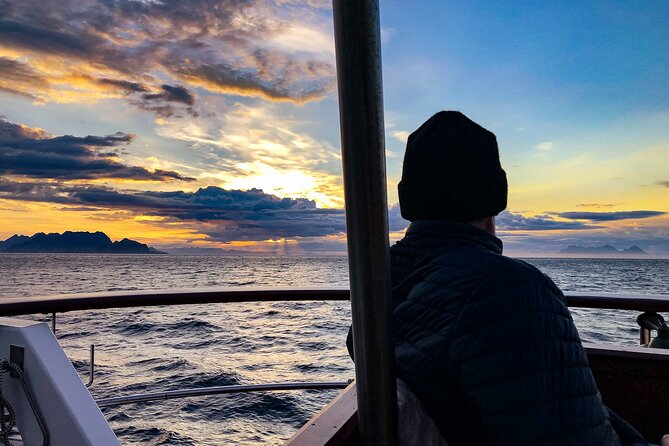 Tromsø Midnight Sun Evening Cruise with Hot Tub and Polar Plunge - What $316.51 buys you