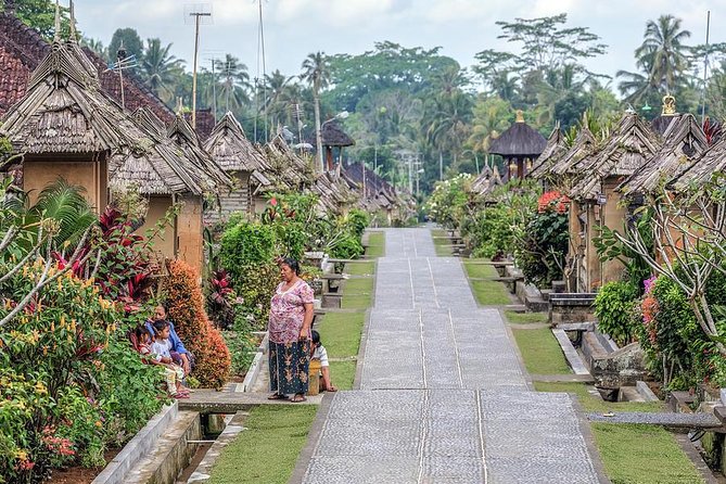 Trunyan Cemetery, Hot Spring, Penglipuran Village, and Waterfall Tour - What the private format changes