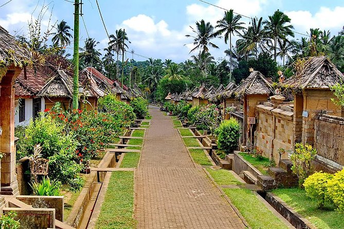 Trunyan Cemetery, Hot Spring, Penglipuran Village, and Waterfall Tour - Who should choose this experience?