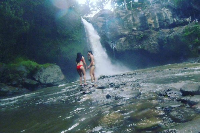 Ubud Hot Springs and Waterfall Private Guided Tour - Elephant Cave and the stops that may become drive-bys