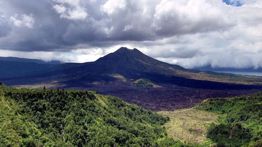 Ubud & Volcano Hot Springs Tours - Tegalalang Rice Terrace and Bali’s old farming system