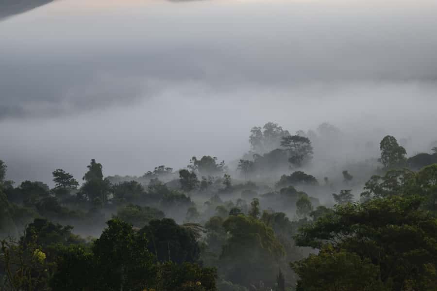 Ubud & Volcano Hot Springs Tours - The guide can make or break a long Bali day