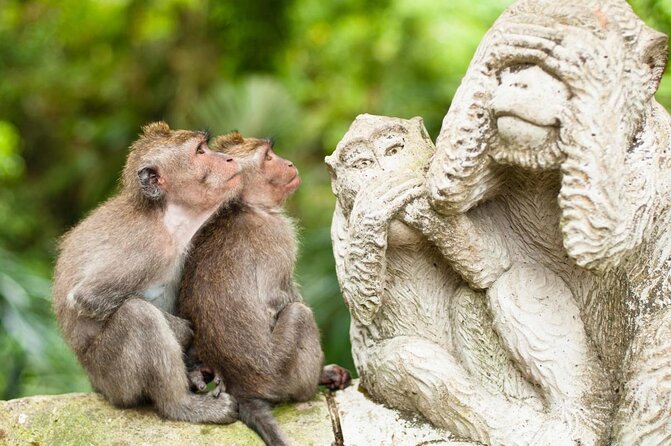 Ubud Volcano Lake and Natural Hot Spring Tour - Key points at a glance