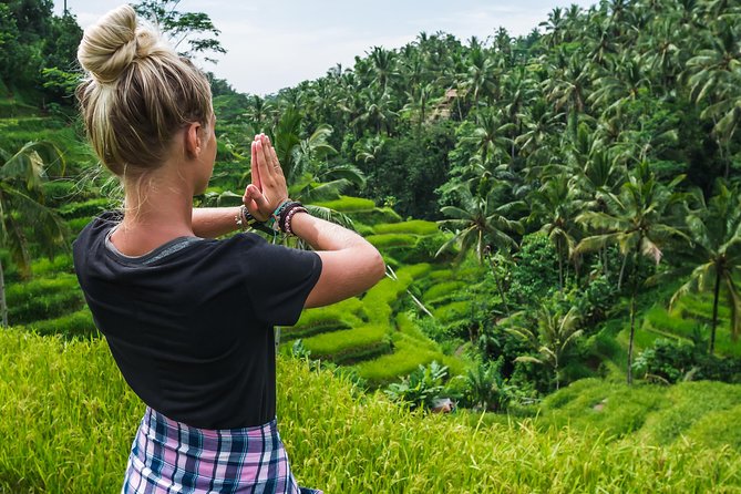 Ubud Volcano Lake and Natural Hot Spring Tour - Why this private Ubud day works