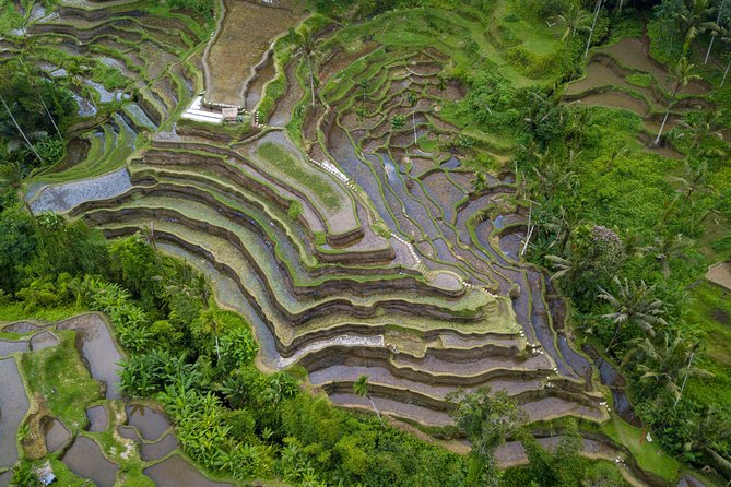 Ubud Volcano Lake and Natural Hot Spring Tour - Batur Natural Hot Spring is the day’s easygoing pause