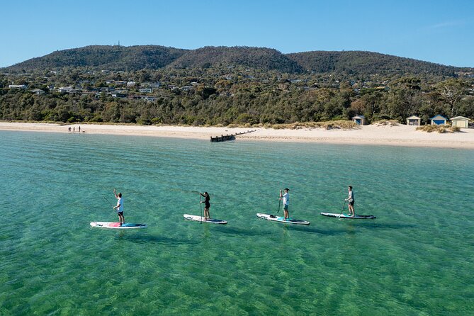 Ultimate Peninsula Adventure: Stand Up Paddle, Hot Springs, Hike, Lunch & Winery - Key details that shape the day