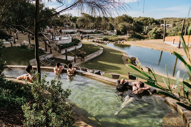 Ultimate Peninsula Adventure: Stand Up Paddle, Hot Springs, Hike, Lunch & Winery - The WAM van and small-group rhythm