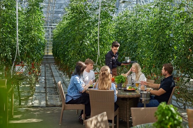 Unique Private Golden Circle, Secret Lagoon & Friðheimar Tour - Friðheimar: tomatoes grown with Icelandic heat