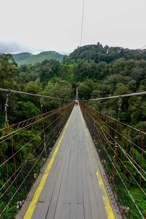 Volcano, Hot Spring, Mud Bath & Tea plantation all included - A full day from Bandung to West Java’s volcanic south