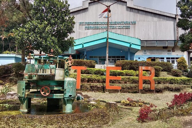 Volcano, Hot Spring, Tea Factory, rice fields and Coffee Tour - What this Jakarta day trip is really like