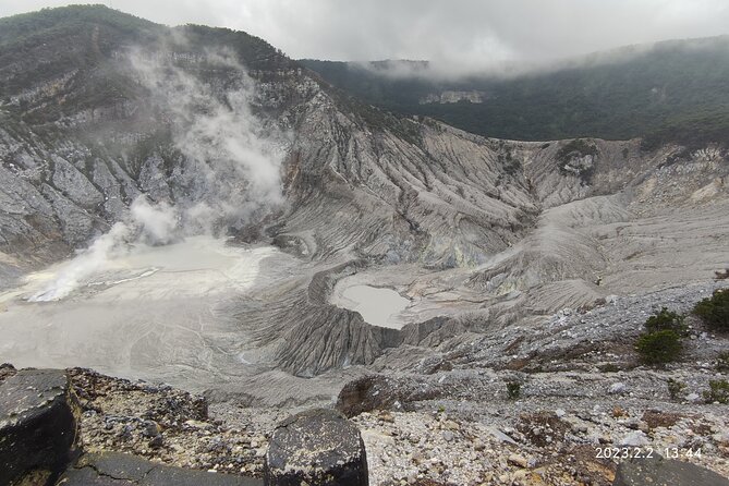Volcano, Hot Spring, Tea Factory, rice fields and Coffee Tour - Tasting West Java fruit at Subang