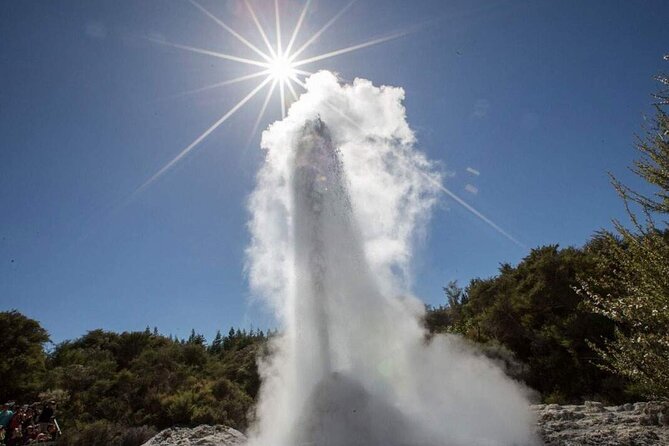 Wai-O-Tapu Geothermal Valley, & Hot River - Is the $155.14 price good value?