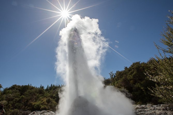 Wai-O-Tapu Thermal Wonderland, Rotorua, New Zealand - Booking, timing, and cancellation details