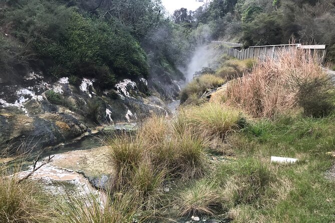 Waimangu Geothermal Valley & Lake Rotomahana Tour – 7hrs - Key points to know before booking