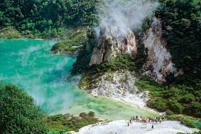 Waimangu Geothermal Valley & Lake Rotomahana Tour – 7hrs - From Mount Maunganui to New Zealand’s youngest geothermal valley