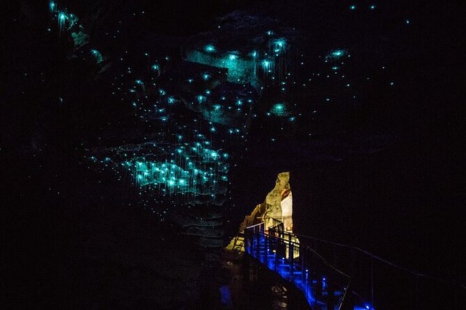 Waitomo Glow Worm Caves & Te Puia - Rotorua's Geothermal Valley - Kiwi Bird Watching at Te Puia
