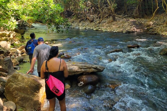 Water Adventure: La Leona Waterfall, River tubing & Cliff jumps - Why this six-hour outing works