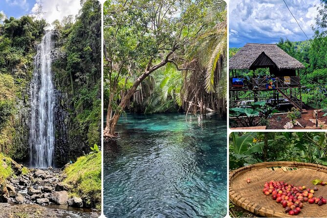 Waterfall, coffee tour & hot springs - lunch and drinks included - One Day, Three Very Different Sides of Northern Tanzania