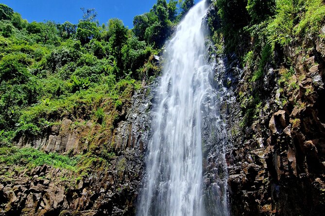 Waterfall, coffee tour & hot springs - lunch and drinks included - What the Guide Adds to the Day
