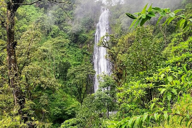 Waterfall, coffee tour & hot springs - lunch and drinks included - Practical Details Before You Go