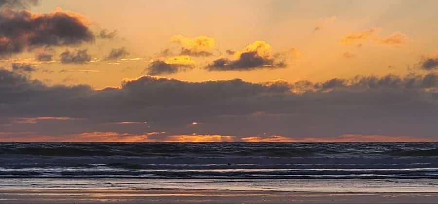 West Auckland: Sunset with Thermal pool & Wine Tasting - Dinner and wine at The Hunting Lodge