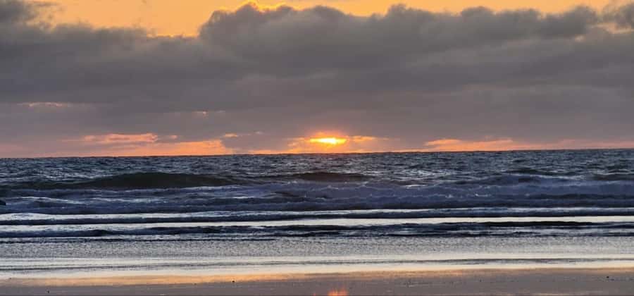 West Auckland: Sunset with Thermal pool & Wine Tasting - What the $298 price really covers
