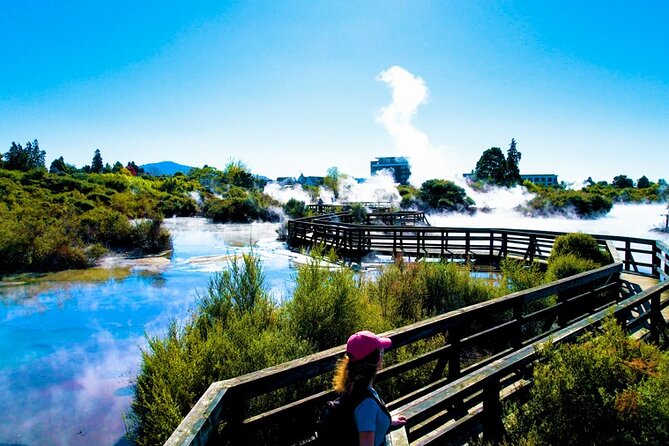 Whaka Geothermal Trails Self-Guided Tour - Geothermal views without a full-day commitment