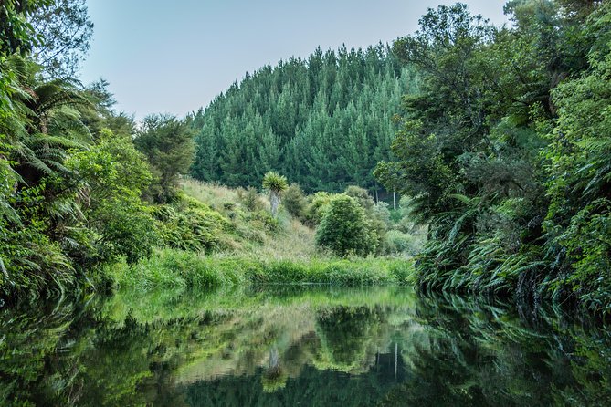 Whaka Geothermal Trails Self-Guided Tour - The best time to use your ticket