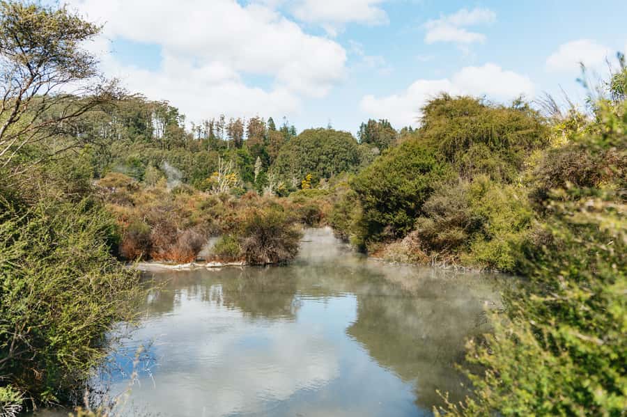 Whakarewarewa: Self-Guided Geothermal Trails - Practical details that improve the visit