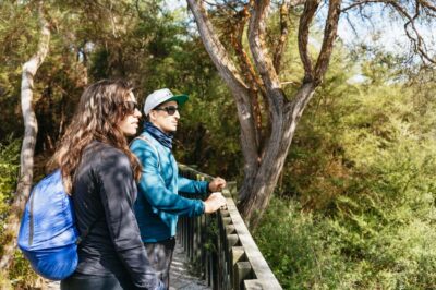 Whakarewarewa: Self-Guided Geothermal Trails
