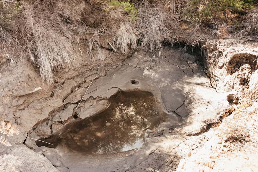 Whakarewarewa: Self-Guided Geothermal Trails - The value of going without a live guide