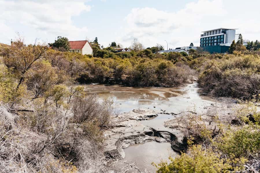 Whakarewarewa: Self-Guided Geothermal Trails - Who will enjoy this trail most