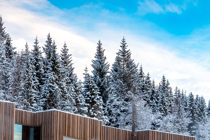 Winter Combo Godafoss Christmas House and The Forest Lagoon - Cancellation and weather planning