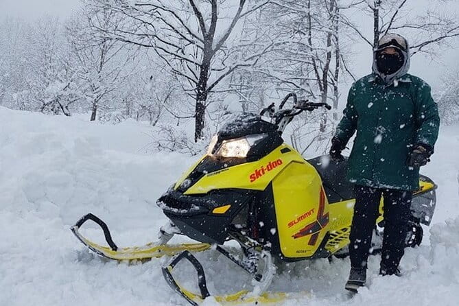 Winter Holiday Snowmobiling in Nozawa Onsen Area - A gentle snowmobile day in Sakae or Shiga Kogen