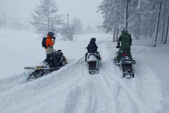 Winter Holiday Snowmobiling in Nozawa Onsen Area - What the $162.40 price really covers