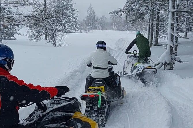 Winter Holiday Snowmobiling in Nozawa Onsen Area - 9:00 pickup from Nozawa Onsen and nearby towns