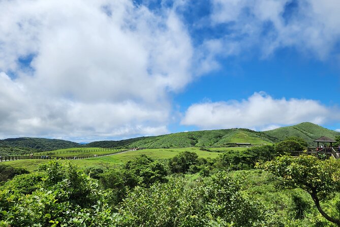 Yamingshan Volcano, Beitou Thermal Valley, Danshui Private Tour - Zhuzihu, flowers, and time for lunch