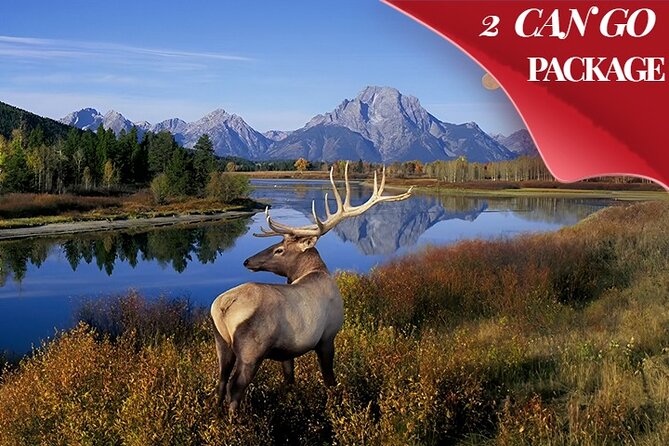 Yellowstone, Grand Teton, and Hot Springs: Small Group 5-Day Tour - Why this route works from Salt Lake City
