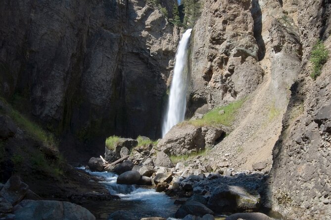 Yellowstone in a Day - Wildlife, Canyons, & Hot Springs - Key points to know before booking
