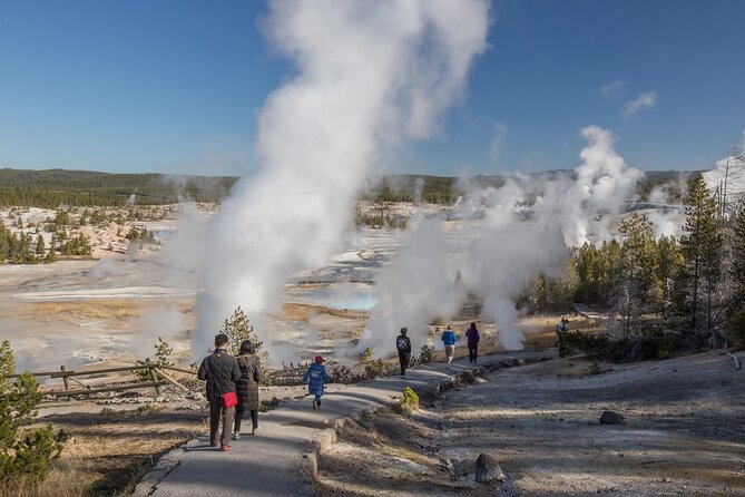 Yellowstone in a Day - Wildlife, Canyons, & Hot Springs - Why the 6 a.m. start matters in Yellowstone