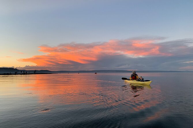 Yellowstone Lake & Hot Springs / 3 Hour Morning or Twilight Tour - The paddle to West Thumb Geyser Basin