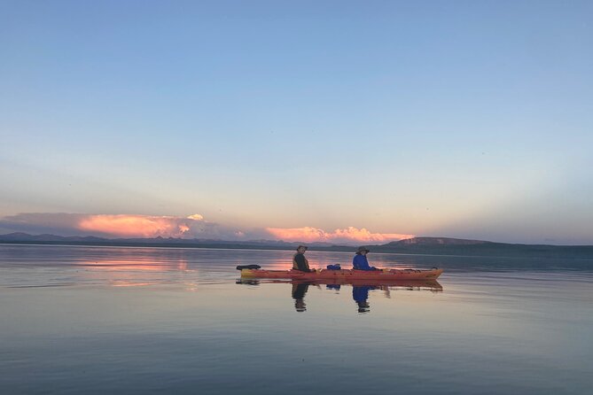 Yellowstone Lake & Hot Springs / 3 Hour Morning or Twilight Tour - Wildlife and geothermal sights along the shore